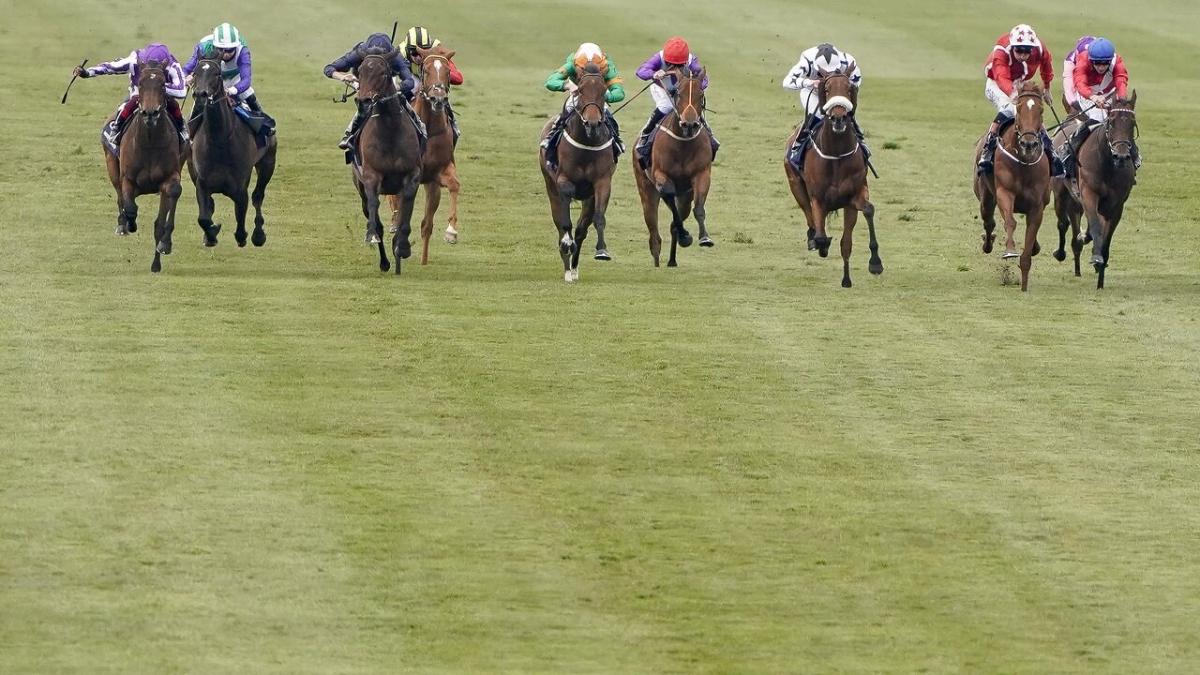 Newmarket racecourse